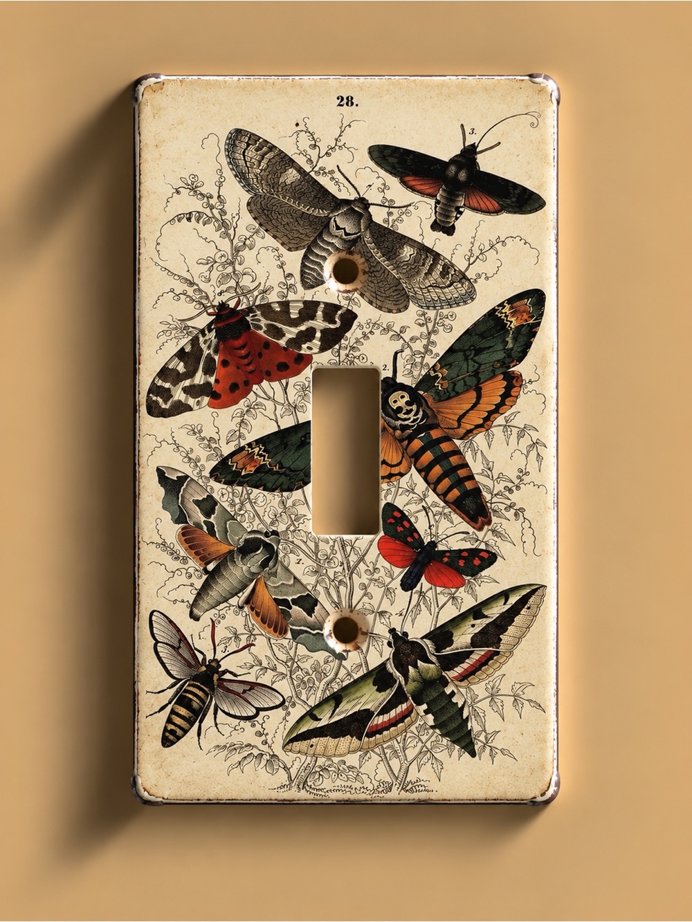 Handmade Vintage Botanical Moth Switch Plate -